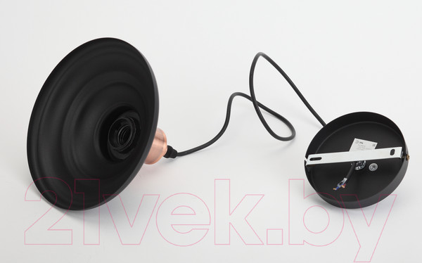 Изображение товара Потолочный светильник ЭРА PL4 BK/RC / Б0037438