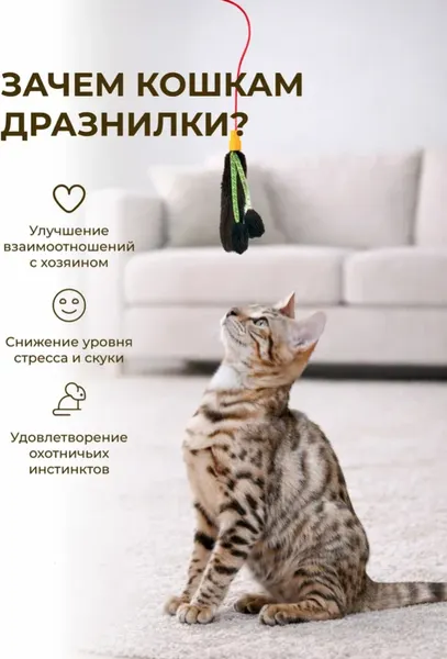 Изображение товара Игрушка для кошек Roxy-Pets Мышиные хвосты и трубочки RP-CT-04