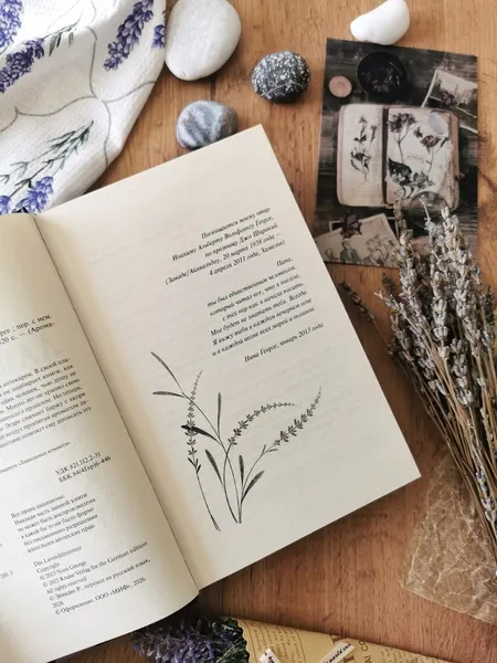 Изображение товара Художественная книга МИФ Лавандовая аптека в Париже (Георге Нина, твердая обложка)