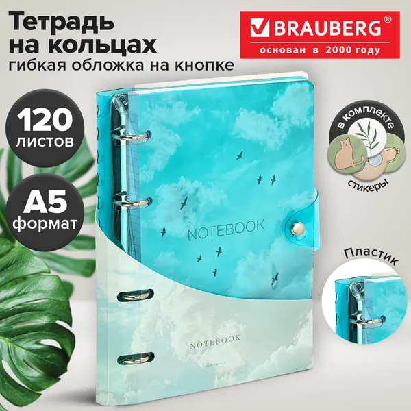 Изображение товара Тетрадь Brauberg Vibe / 405223 (120л, синий)