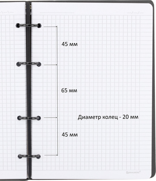 Изображение товара Тетрадь Brauberg Rhythm. Природа / 405230 (120л)