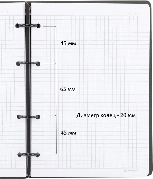 Изображение товара Тетрадь Brauberg Rhythm. Цветы / 405232 (120л)