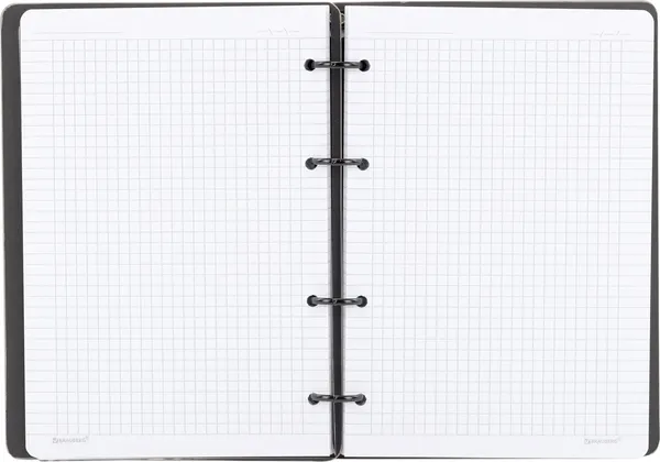 Изображение товара Тетрадь Brauberg Rhythm. Цветы / 405232 (120л)