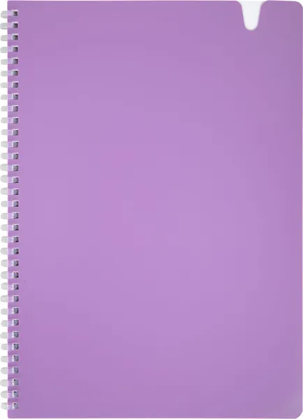 Изображение товара Тетрадь Brauberg 405374 (80л, сиреневый)