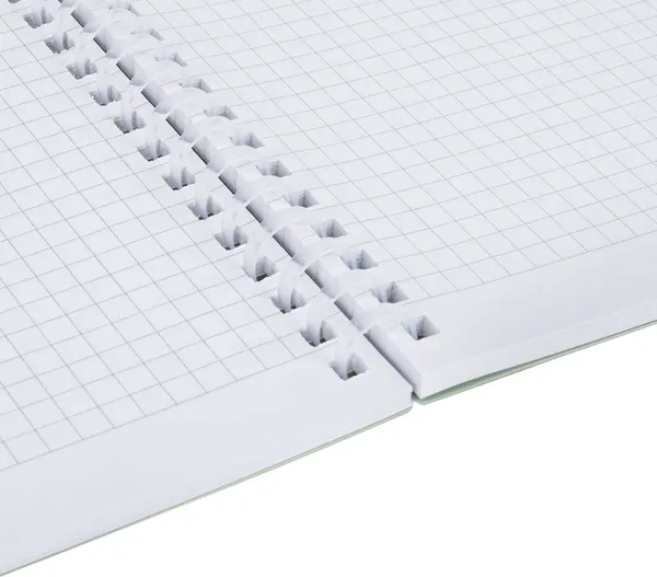 Изображение товара Тетрадь Brauberg 405378 (80л, светло-зеленый)