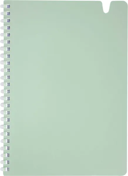 Изображение товара Тетрадь Brauberg 405378 (80л, светло-зеленый)