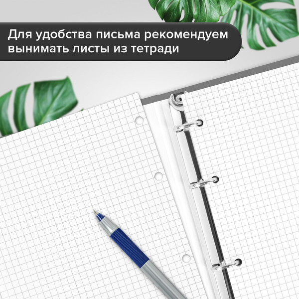 Изображение товара Тетрадь Brauberg Цветы / 405412 (100л)