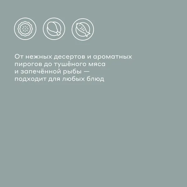 Изображение товара Форма для запекания Pragma Lanktu KR-SC006