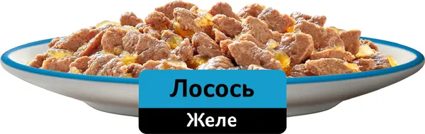 Изображение товара Набор кормов для кошек Whiskas С лососем (5кг+28х85г)