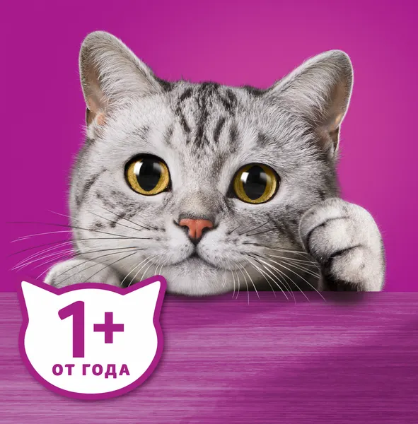 Изображение товара Набор кормов для кошек Whiskas С лососем (5кг+28х85г)
