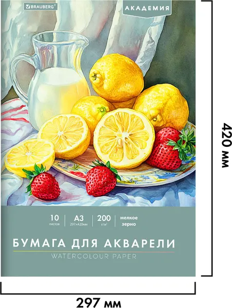 Изображение товара Набор бумаги для рисования Brauberg Летний натюрморт / 117741 (10л)
