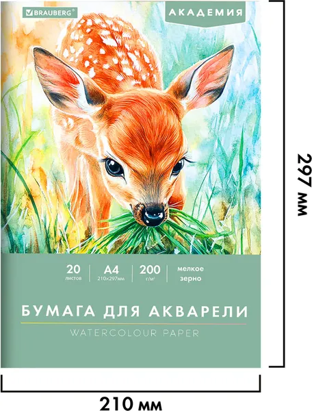 Изображение товара Набор бумаги для рисования Brauberg Олененок / 117746 (20л)