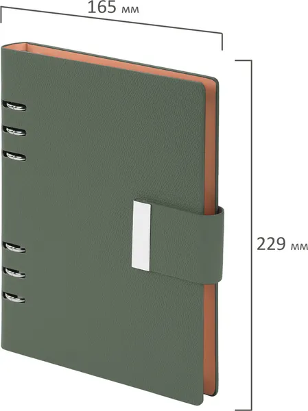 Изображение товара Ежедневник Brauberg Lux / 116858 (100л, зеленый)
