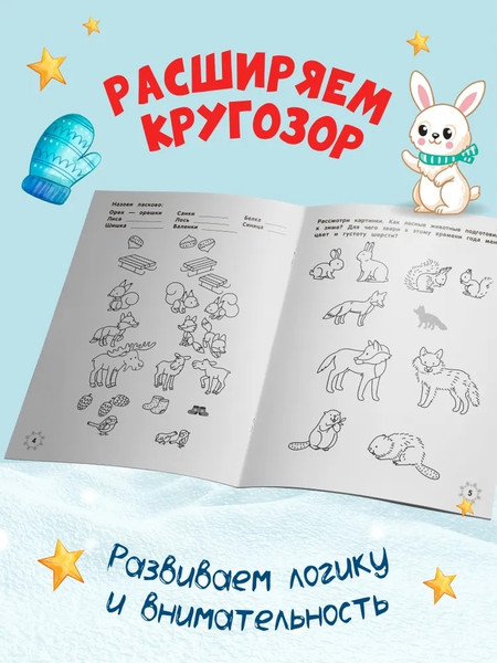 Изображение товара Развивающая книга Феникс-премьер Зимние головоломки снеговика, мягкая обложка (Заболотная Этери)