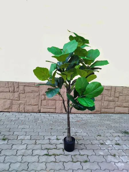 Изображение товара Искусственное растение ForGarden Ficus Fiddle / BN11273