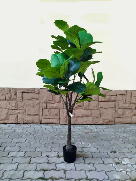 Изображение товара Искусственное растение ForGarden Ficus Fiddle / BN11273