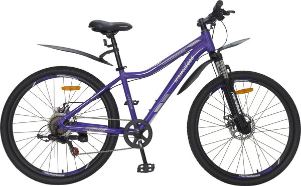Изображение товара Велосипед Nameless 26 / J6100DW-PR(25) (15, фиолетовый металик/серый, разобранный, в коробке)