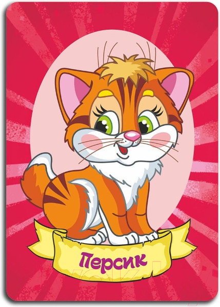 Изображение товара Настольная игра Topgame Чёрный кот. 41 карточка / 01493