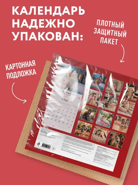 Изображение товара Календарь настенный Эксмо Будь котиком. 2027 год (9785042407987)