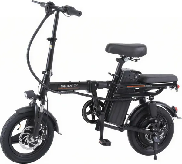 Изображение товара Электровелосипед Skiper Flow / SFL4840.00