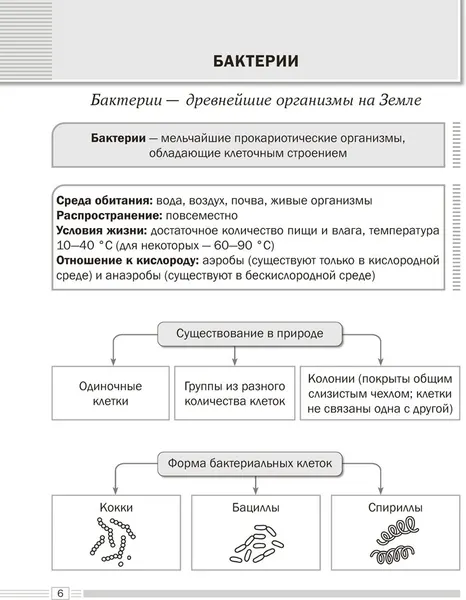 Изображение товара Учебное пособие Аверсэв Биология. 7 класс. Опорные конспекты, схемы и таблицы. 2026 (Лисов Николай)