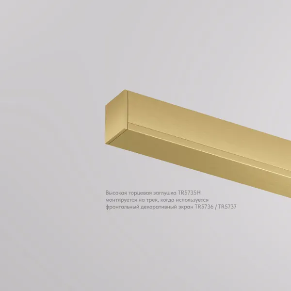 Изображение товара Заглушка для шинопровода Denkirs Shine Base TR5735H-SB
