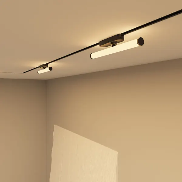 Изображение товара Трековый светильник Denkirs Strom DK6438-BK