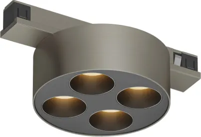 Изображение товара Трековый светильник Denkirs Shine Grill DK5772-DN