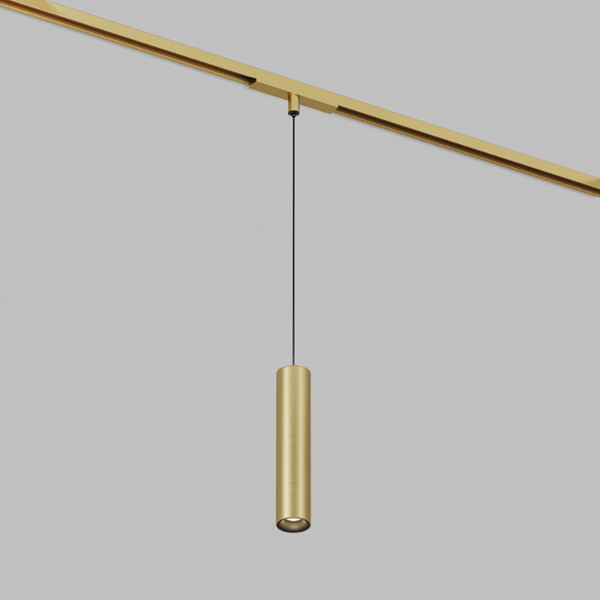 Изображение товара Трековый светильник Denkirs Shine Spot DK5744-SB