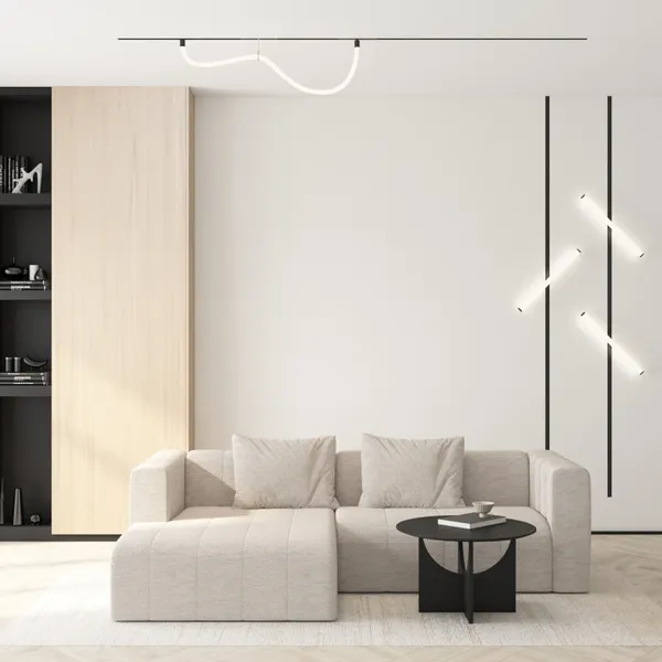 Изображение товара Трековый светильник Denkirs Smart Ray DK8065-BK