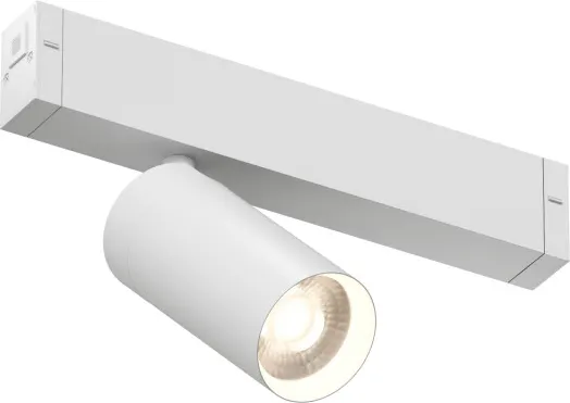 Изображение товара Трековый светильник Denkirs Smart Spot DK8010-WH