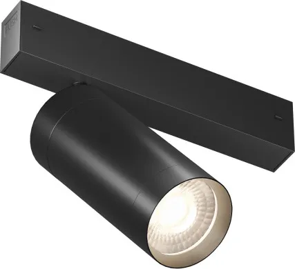 Изображение товара Трековый светильник Denkirs Smart Spot Zigbee DK8320-BK