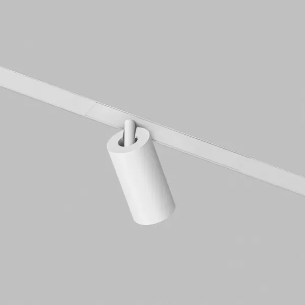 Изображение товара Трековый светильник Denkirs Simple Spot DK8210-WH