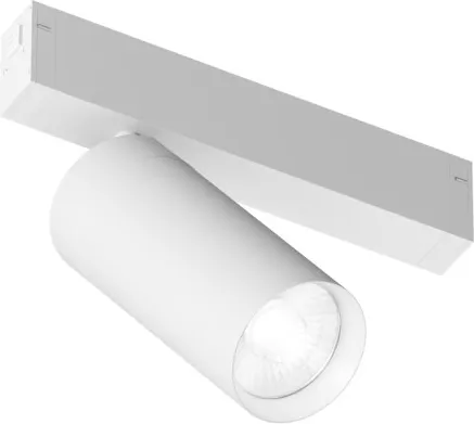 Изображение товара Трековый светильник Denkirs Simple Spot DK8220-WH