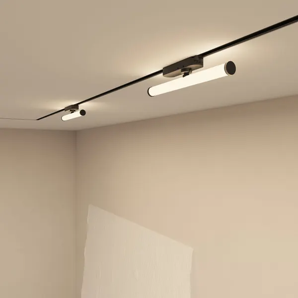 Изображение товара Трековый светильник Denkirs Strom DK6448-BK