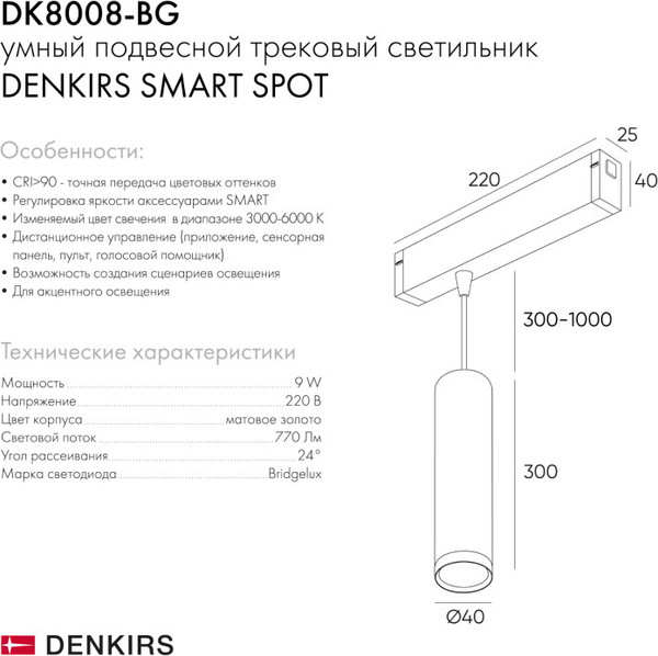 Изображение товара Трековый светильник Denkirs Smart Spot DK8008-BG