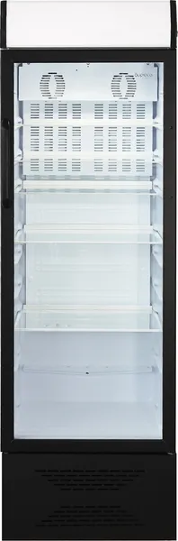 Изображение товара Торговый холодильник Бирюса B310PN