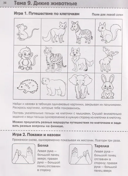 Изображение товара Развивающая книга Феникс-премьер Нейротренинг. 5-6 лет (Османова Г. 9785222464328)