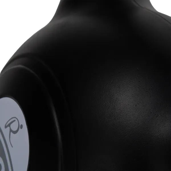 Изображение товара Гиря Proiron Пластиковая / ГИ1200П (20кг)