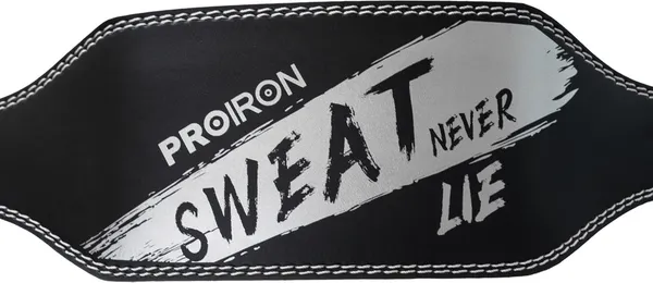 Изображение товара Пояс для пауэрлифтинга Proiron ПА15Л (15см, р. L)