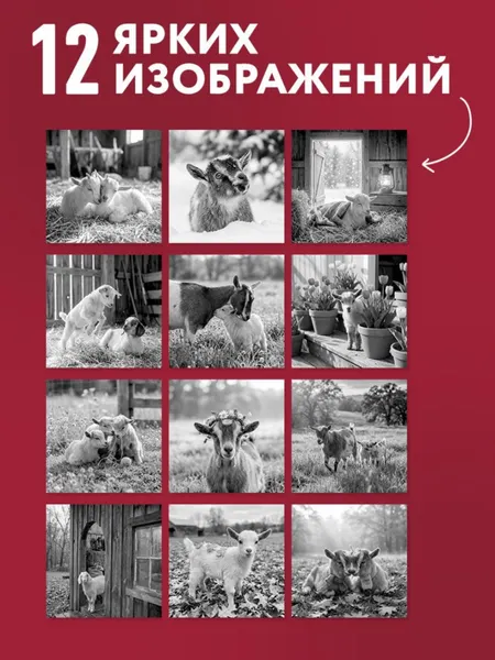 Изображение товара Календарь настенный Эксмо Уютные хранители счастья. Год огненной козы/овцы. 2027 год (9785042405860)