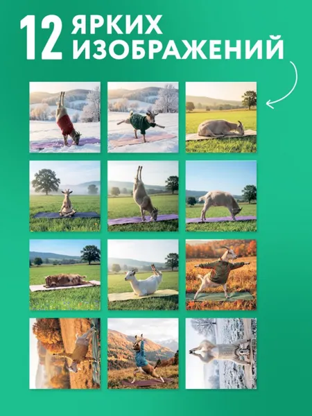 Изображение товара Календарь настенный Эксмо Йога с козами. 2027 год (9785042472121)