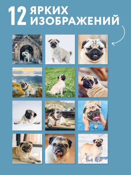 Изображение товара Календарь настенный Эксмо Мой любимый мопс. 2027 год (9785042471995)