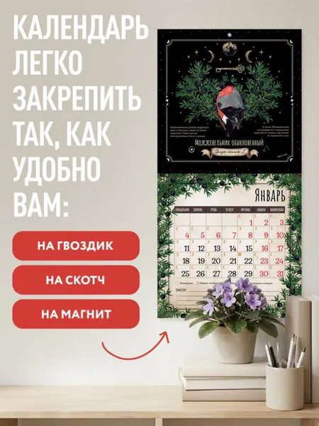 Изображение товара Календарь настенный Эксмо Тайны и магия растений. 2027 год (Сумина М. 9785042398575)