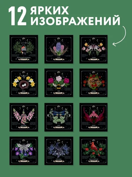 Изображение товара Календарь настенный Эксмо Тайны и магия растений. 2027 год (Сумина М. 9785042398575)