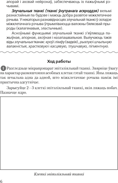 Изображение товара Рабочая тетрадь Аверсэв Биология. 9 класс. Для лабораторных работ (Лисов Николай, мягкая обложка)