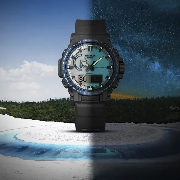 Изображение товара Часы наручные мужские Casio ProTrek PRW-61D-2E