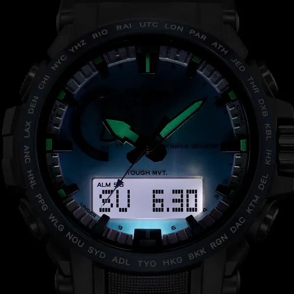 Изображение товара Часы наручные мужские Casio ProTrek PRW-61D-2E