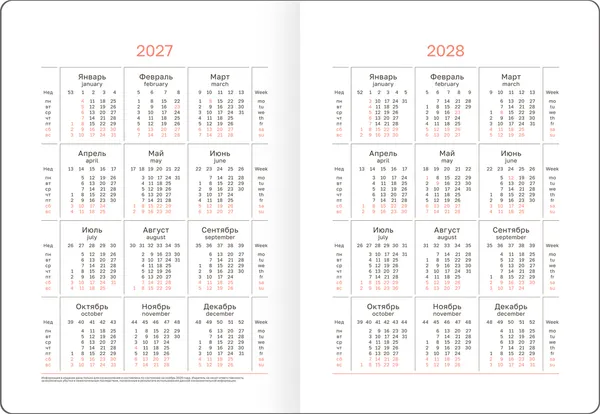 Изображение товара Ежедневник BG Виннер 2027 / DdА5_67910 (176л, фиолетовый)