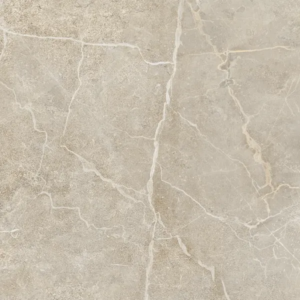Изображение товара Плитка ProGres Ариадна NR0419K (600x600, тауп)